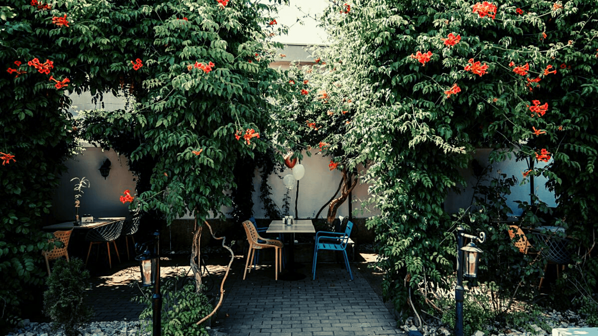 Akua Garden - Ploiești - Imagine 4