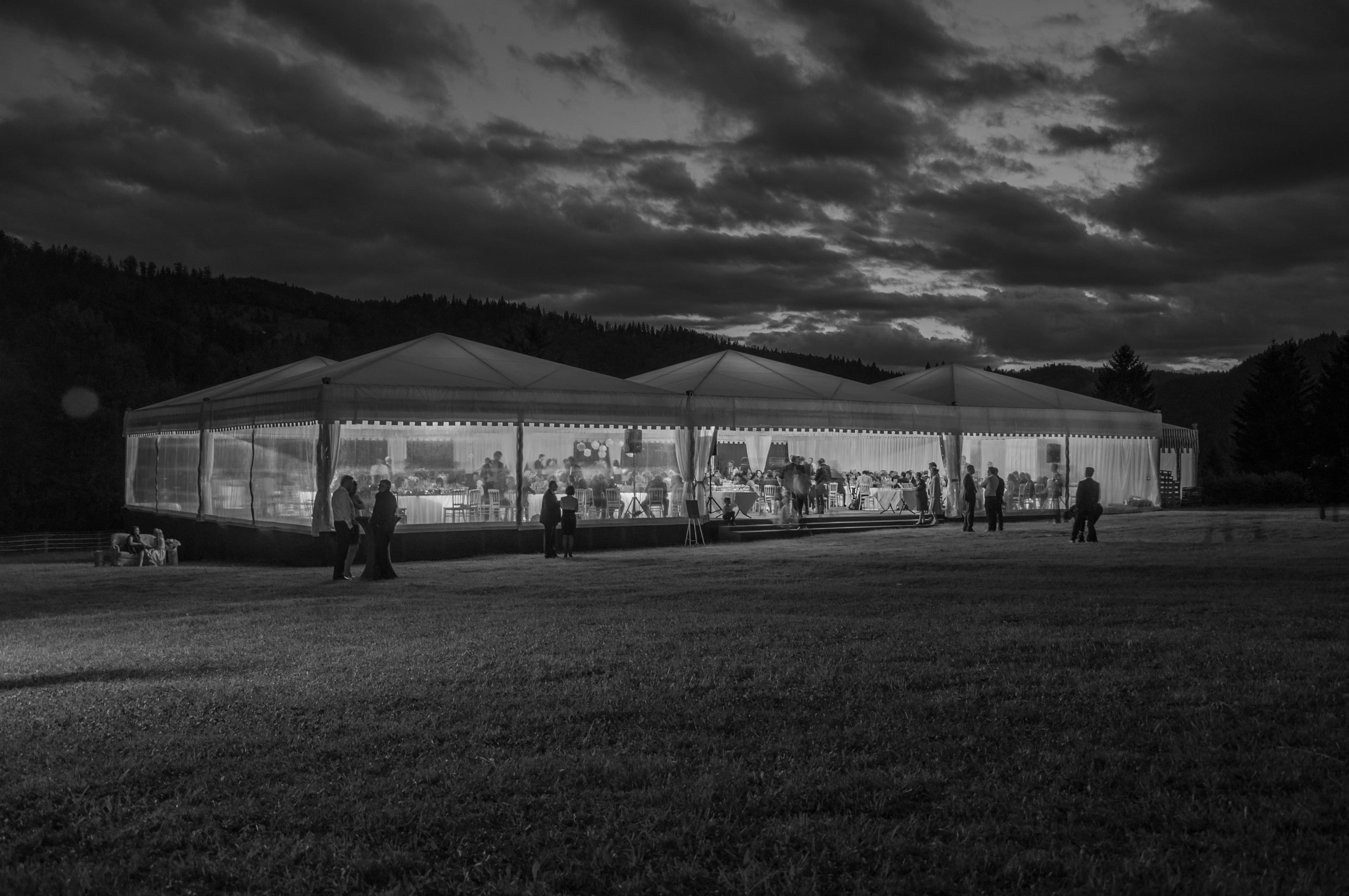 SC OFENSIVE IMPEX SRL - Imagine 5