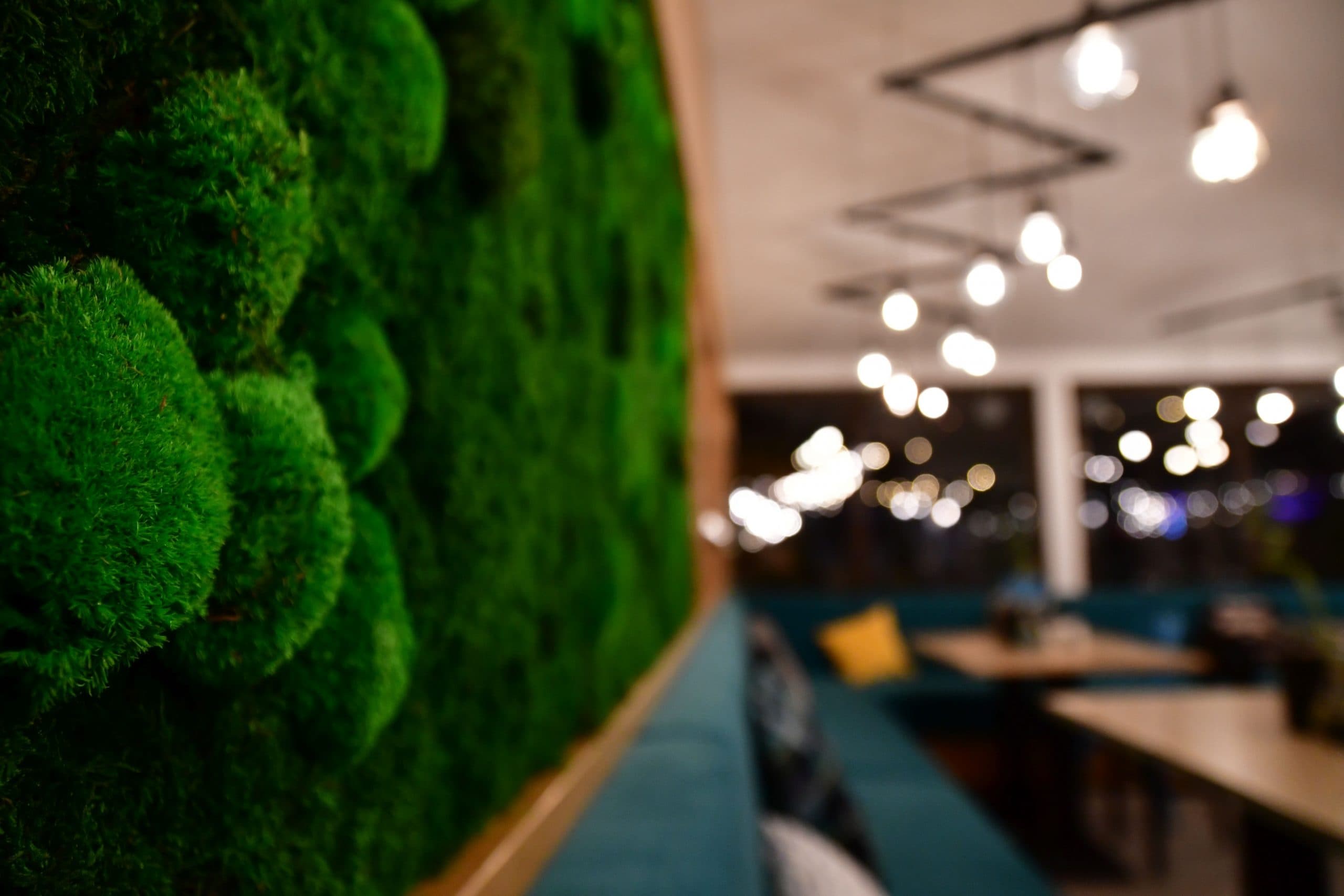 Akua Garden - Ploiești - Imagine 9