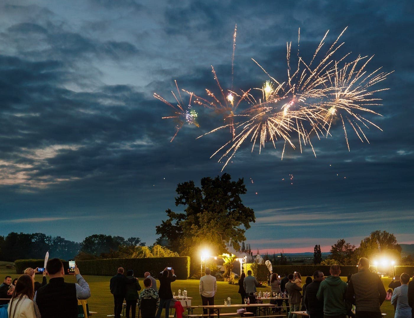 Conacul Buzdugan - Imagine 8