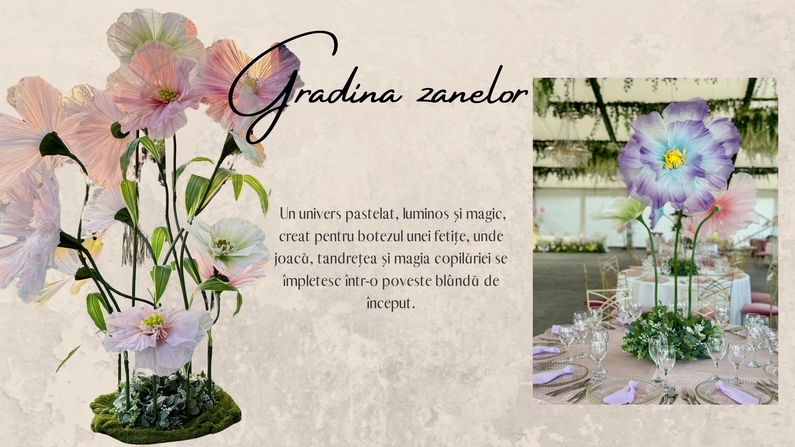 Lara Events - Imagine 7