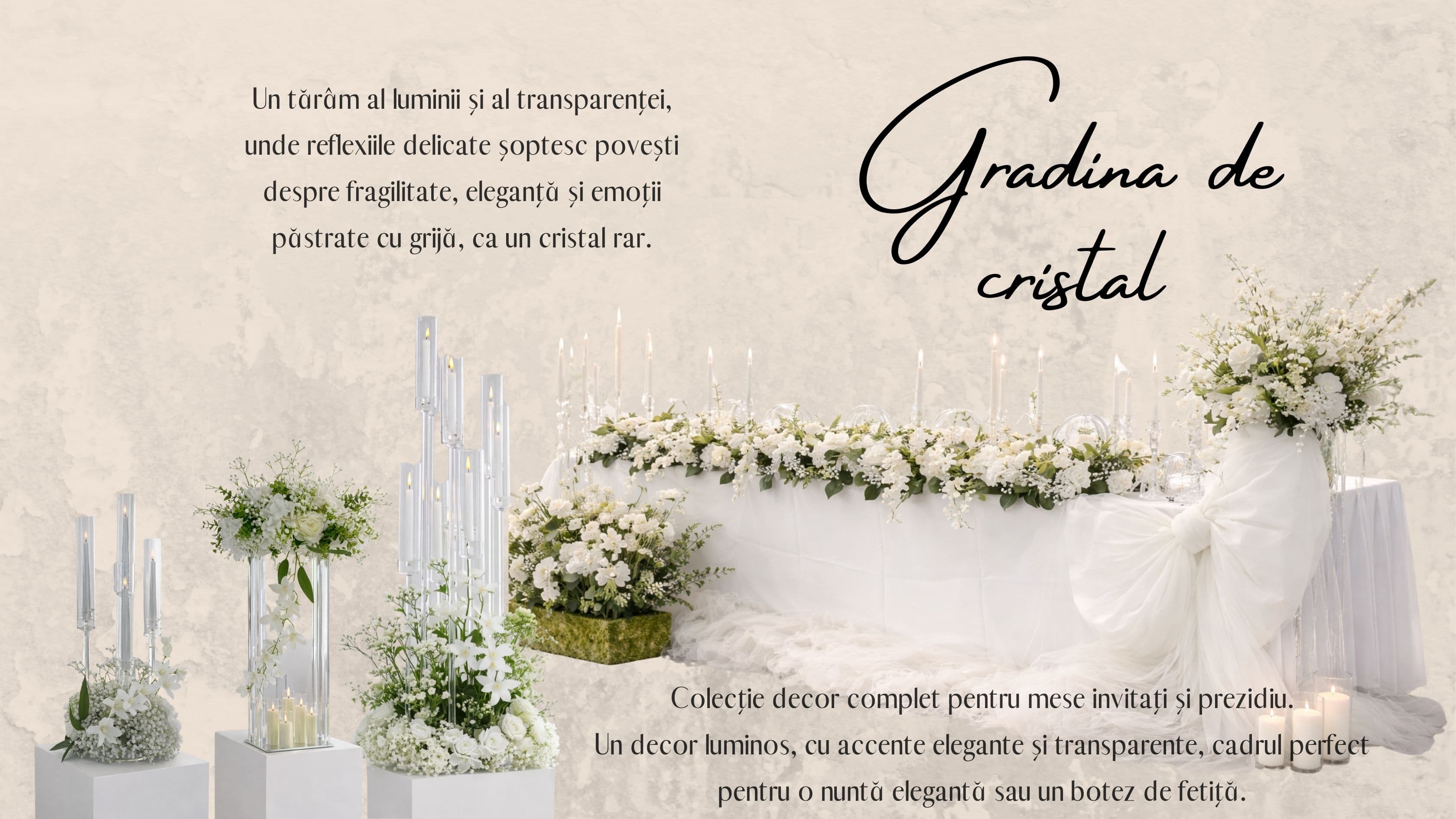 Lara Events - Imagine 3