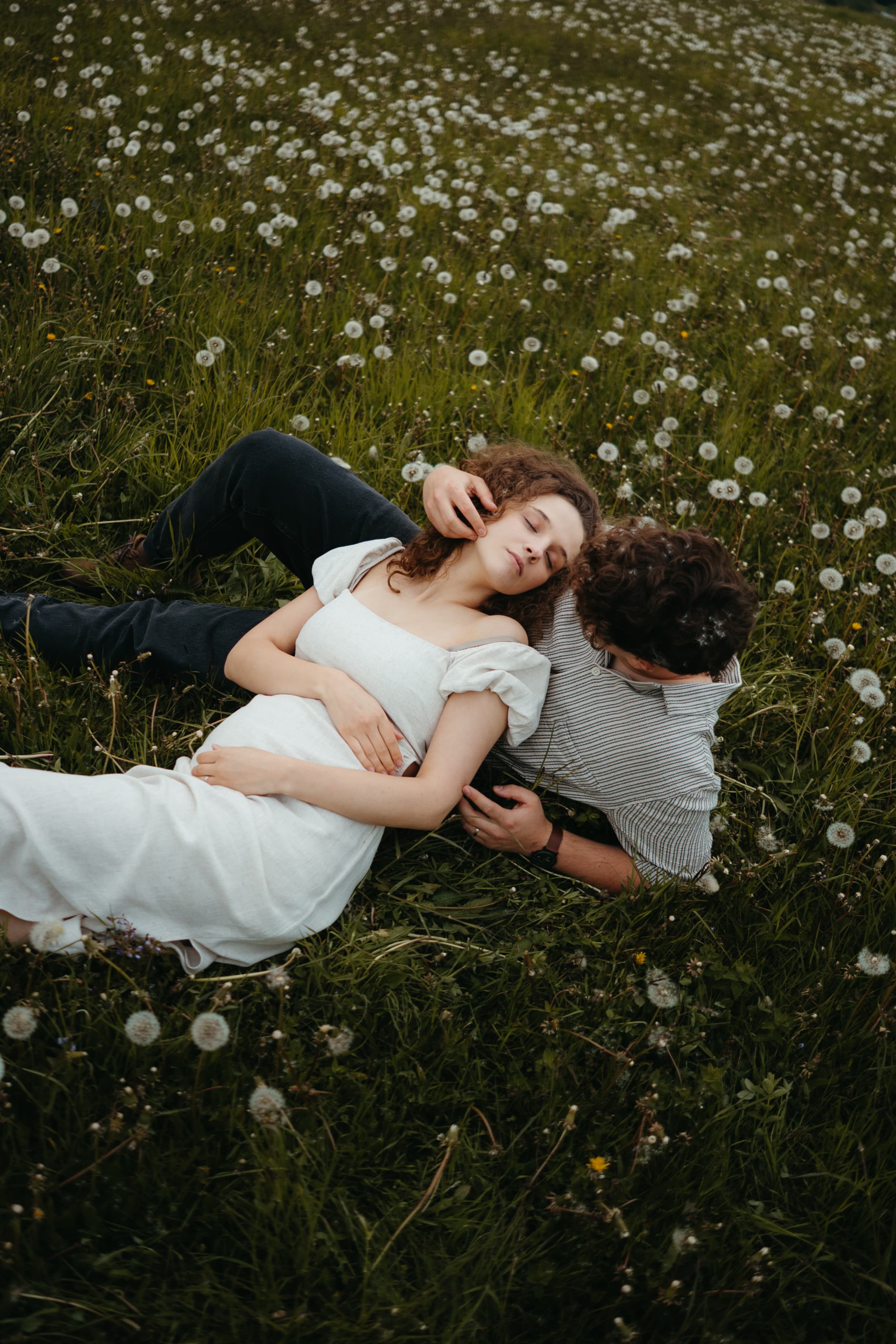 Rotund Perfect - Imagine 2