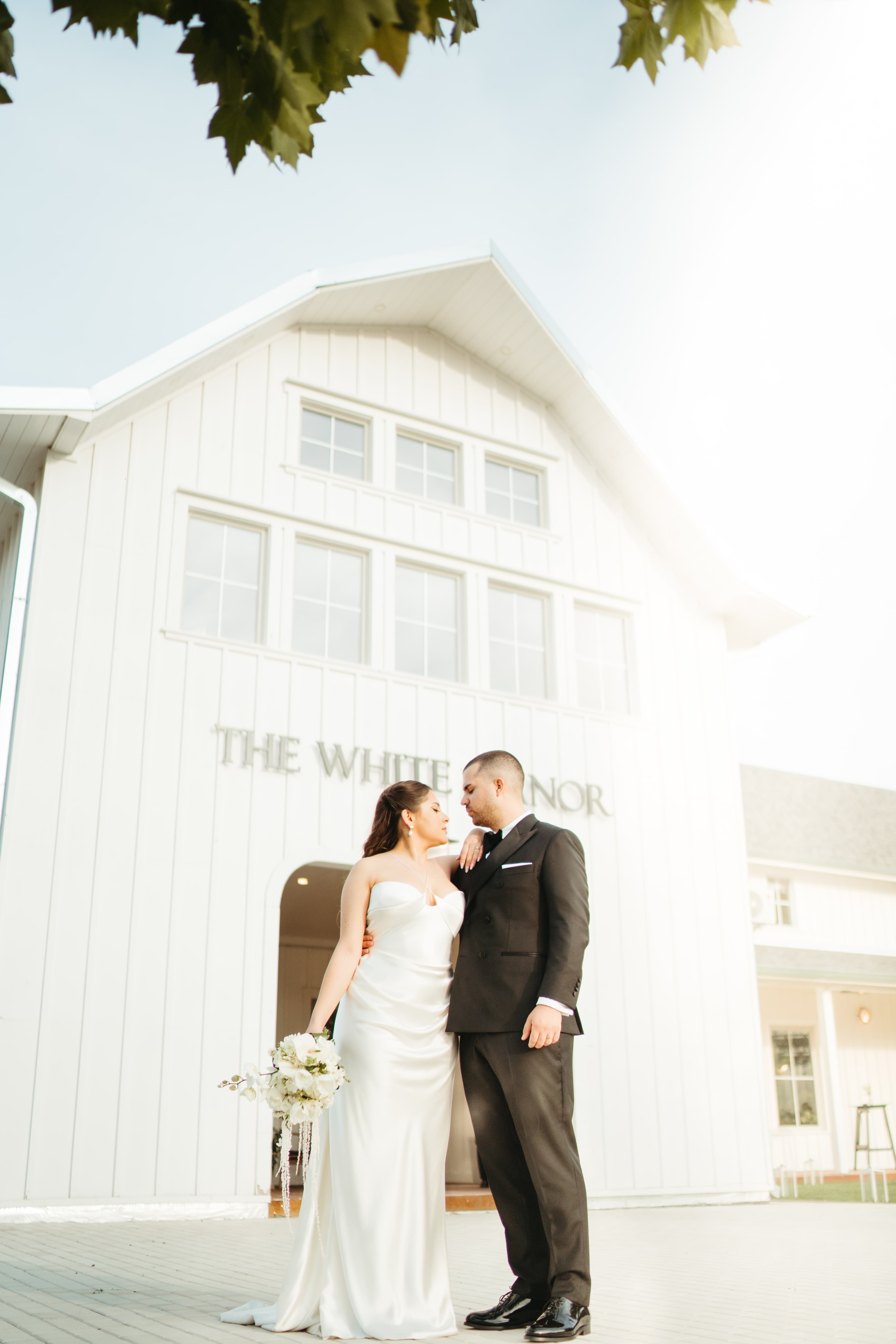 Rotund Perfect - Imagine 6