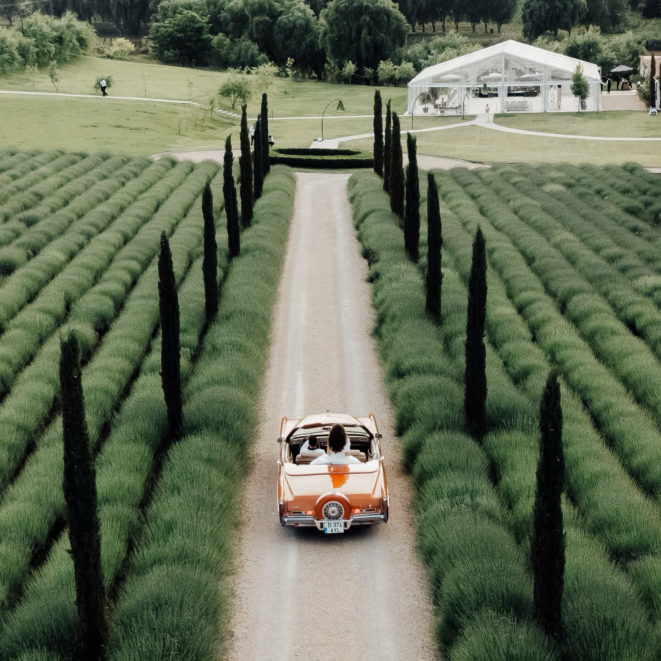 Happy Souls  - Servicii profesionale de fotografie în Brașov: nuntă, botez, cununie civilă și ședințe foto. - Imagine 5