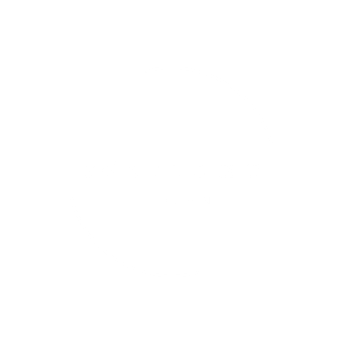 Dansatori profesioniști evenimente 