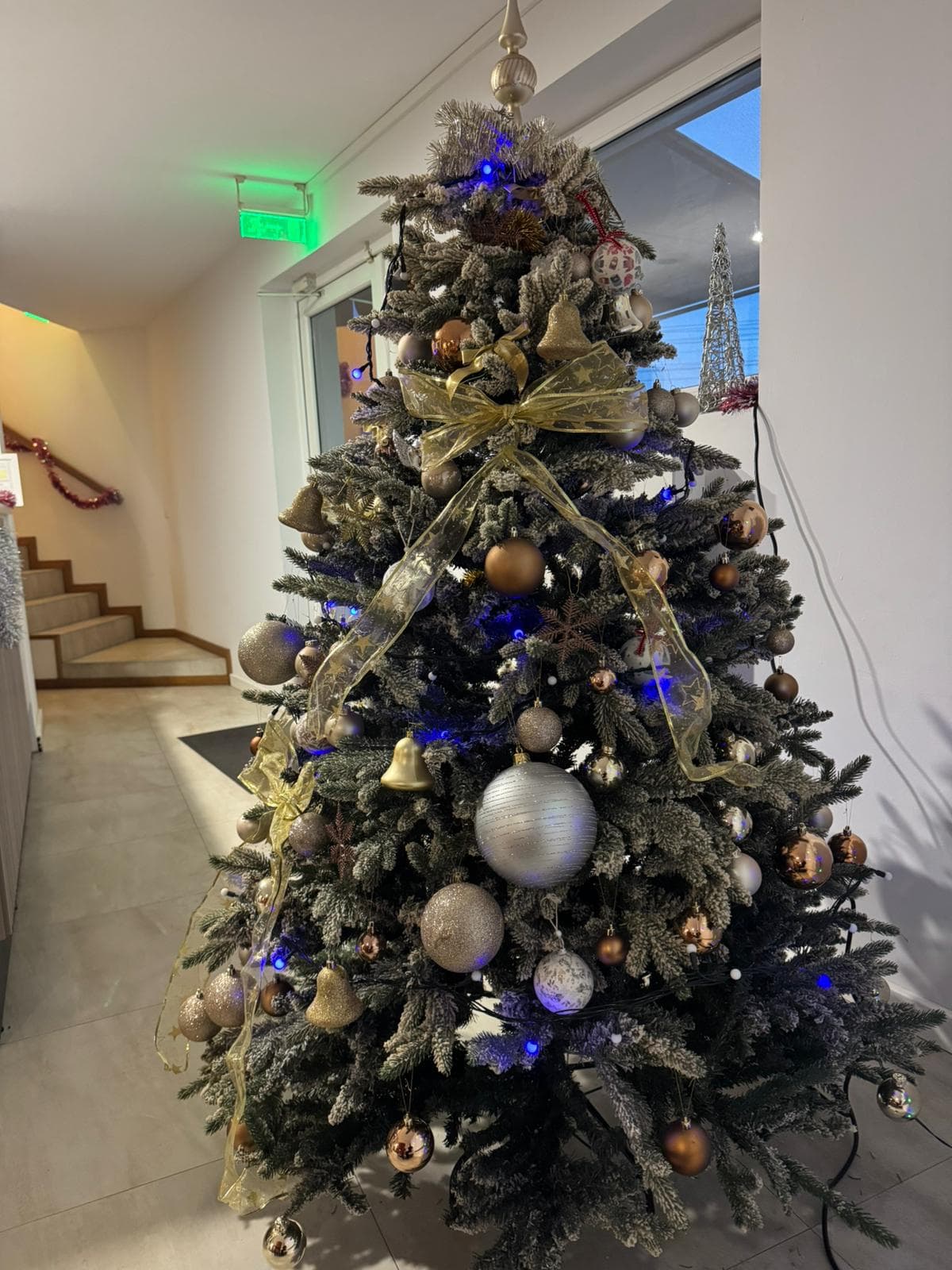 Restaurant Gloria- Evenimente Timisoara - Imagine 4