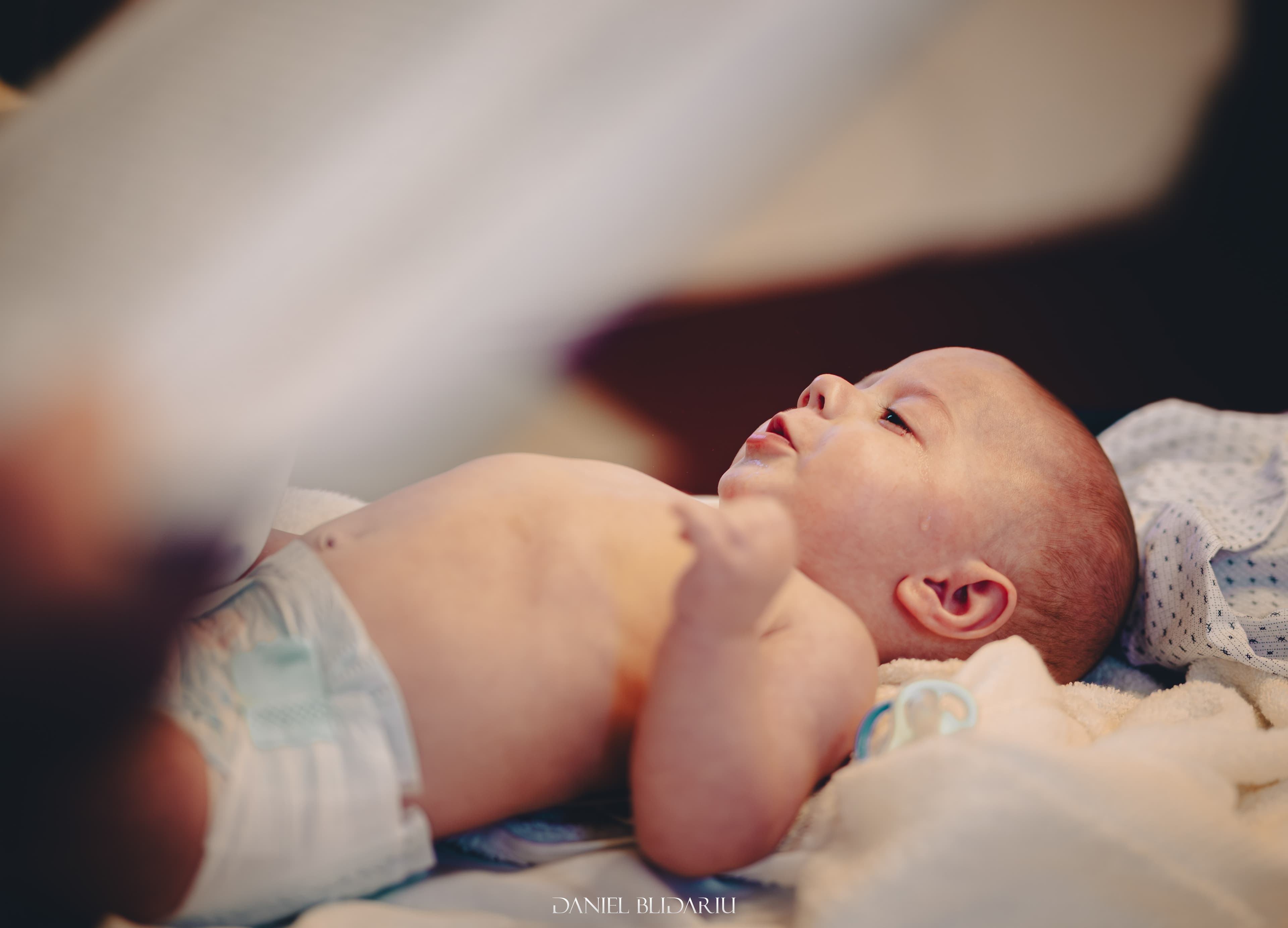 Daniel Blidariu - Fotograf - Imagine 5