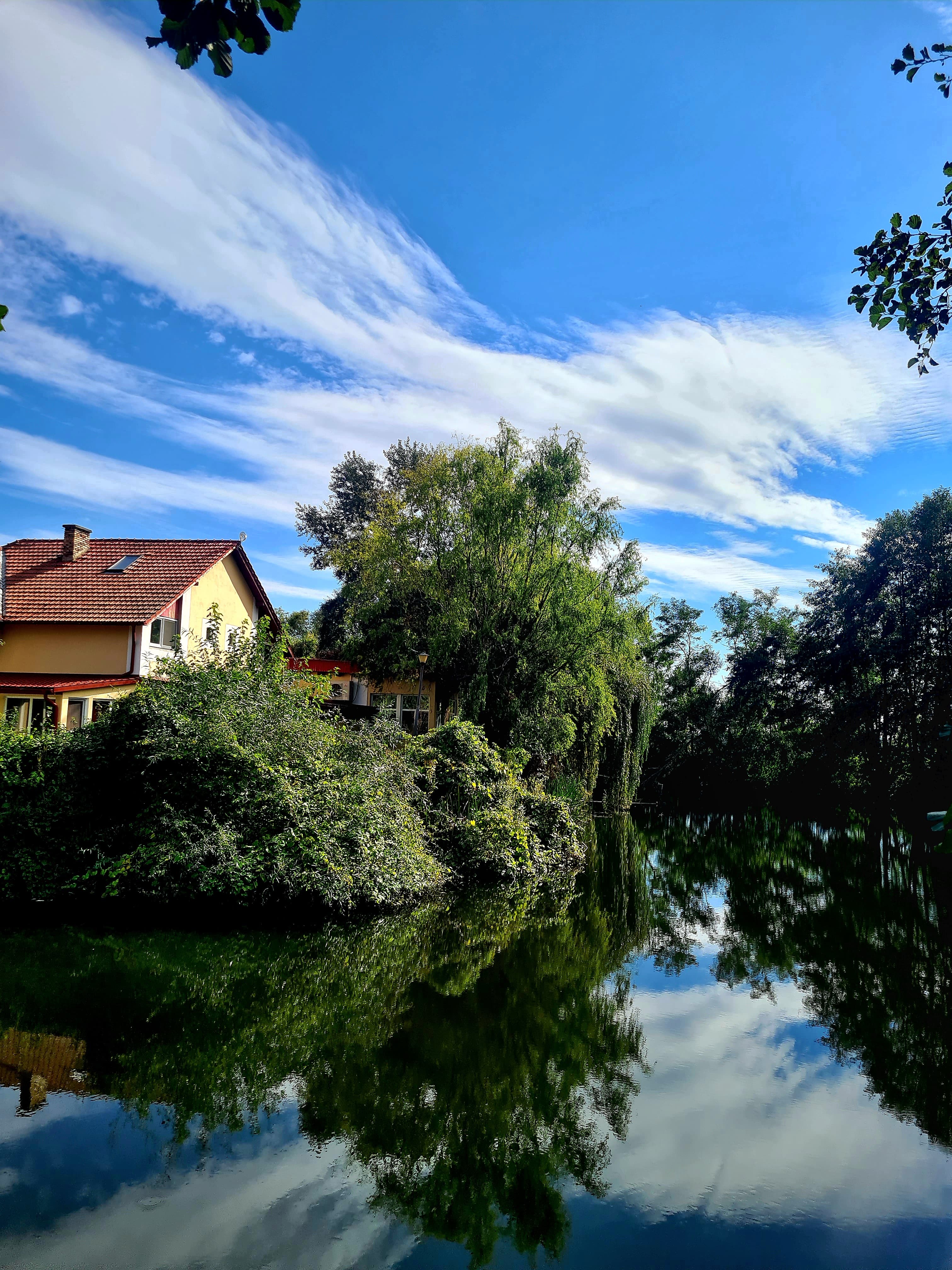 KingEvents Bucovat - Imagine 2