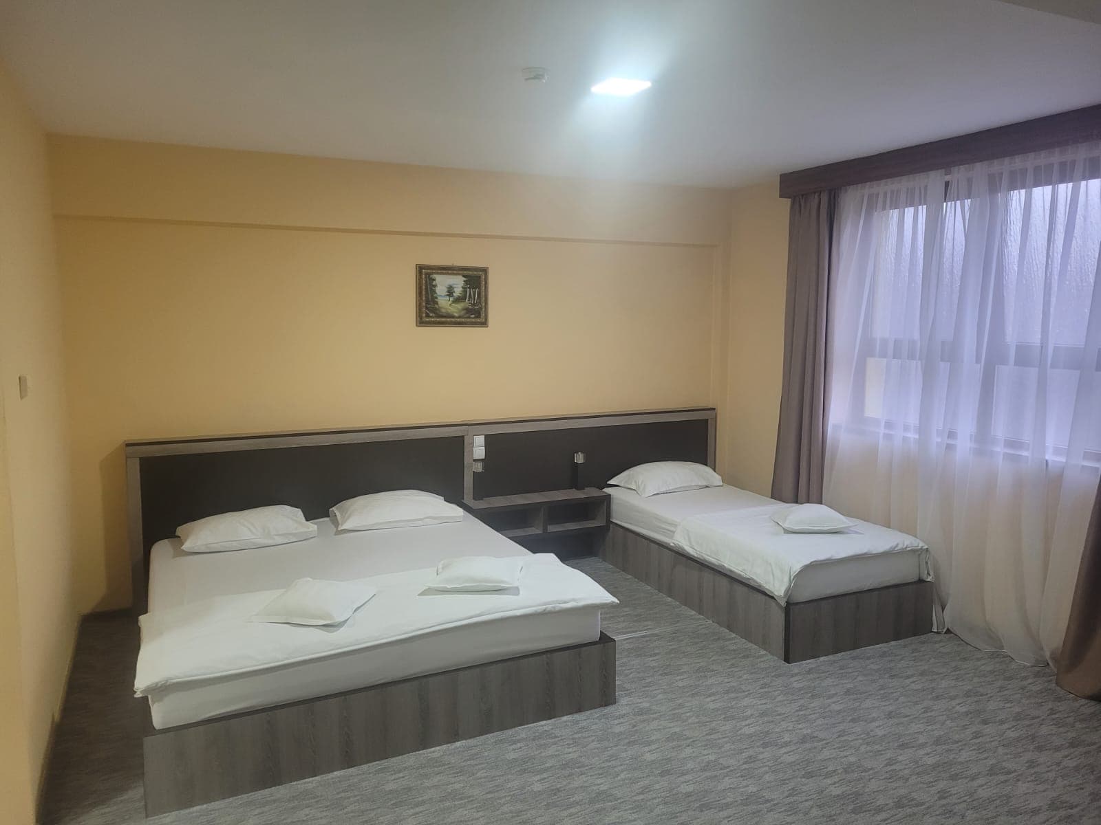 Hotel Edelweiss Medias - Imagine 9