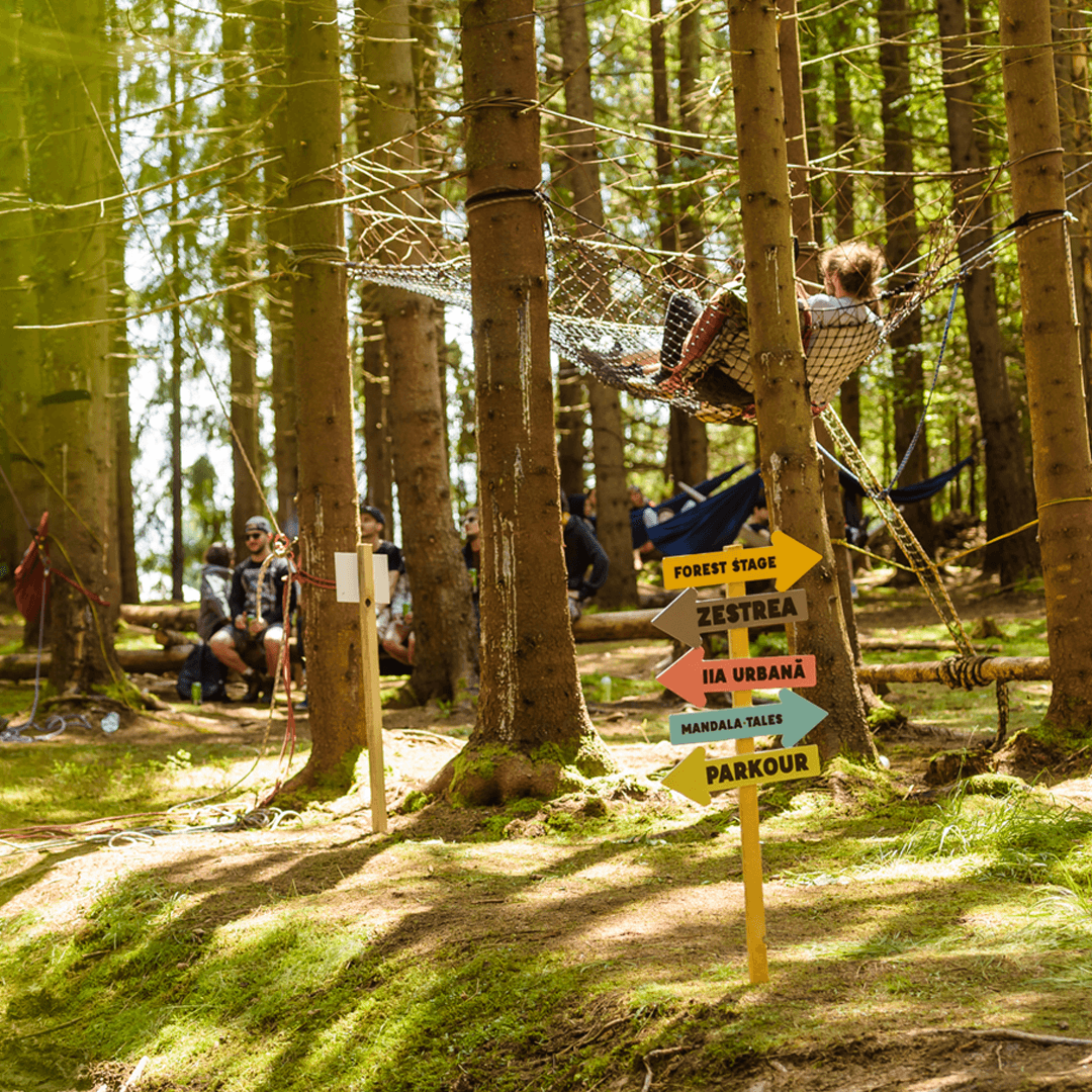 MOX 2026 - Imagine 7