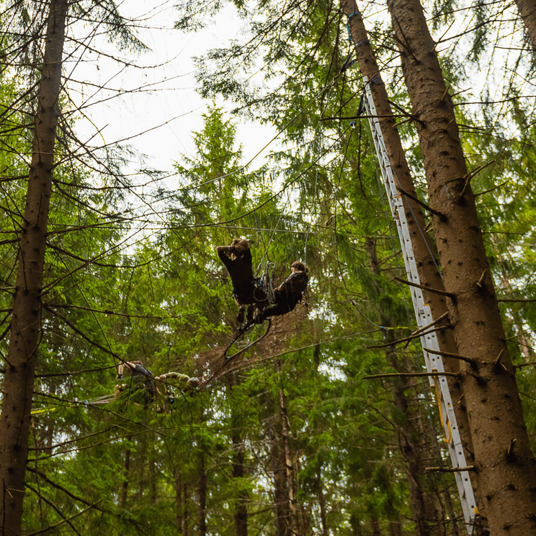 MOX 2026 - Imagine 6