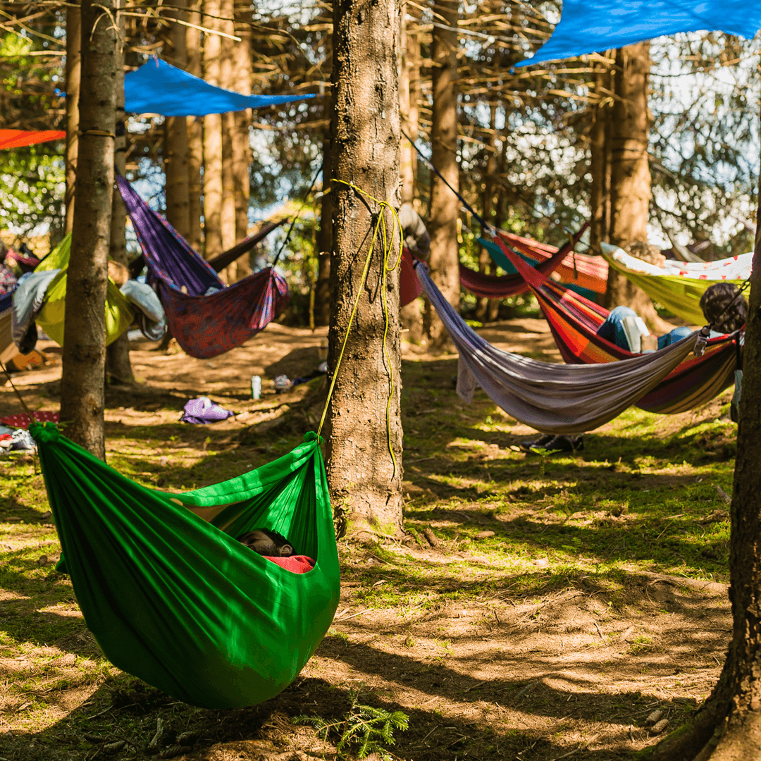 MOX 2026 - Imagine 3