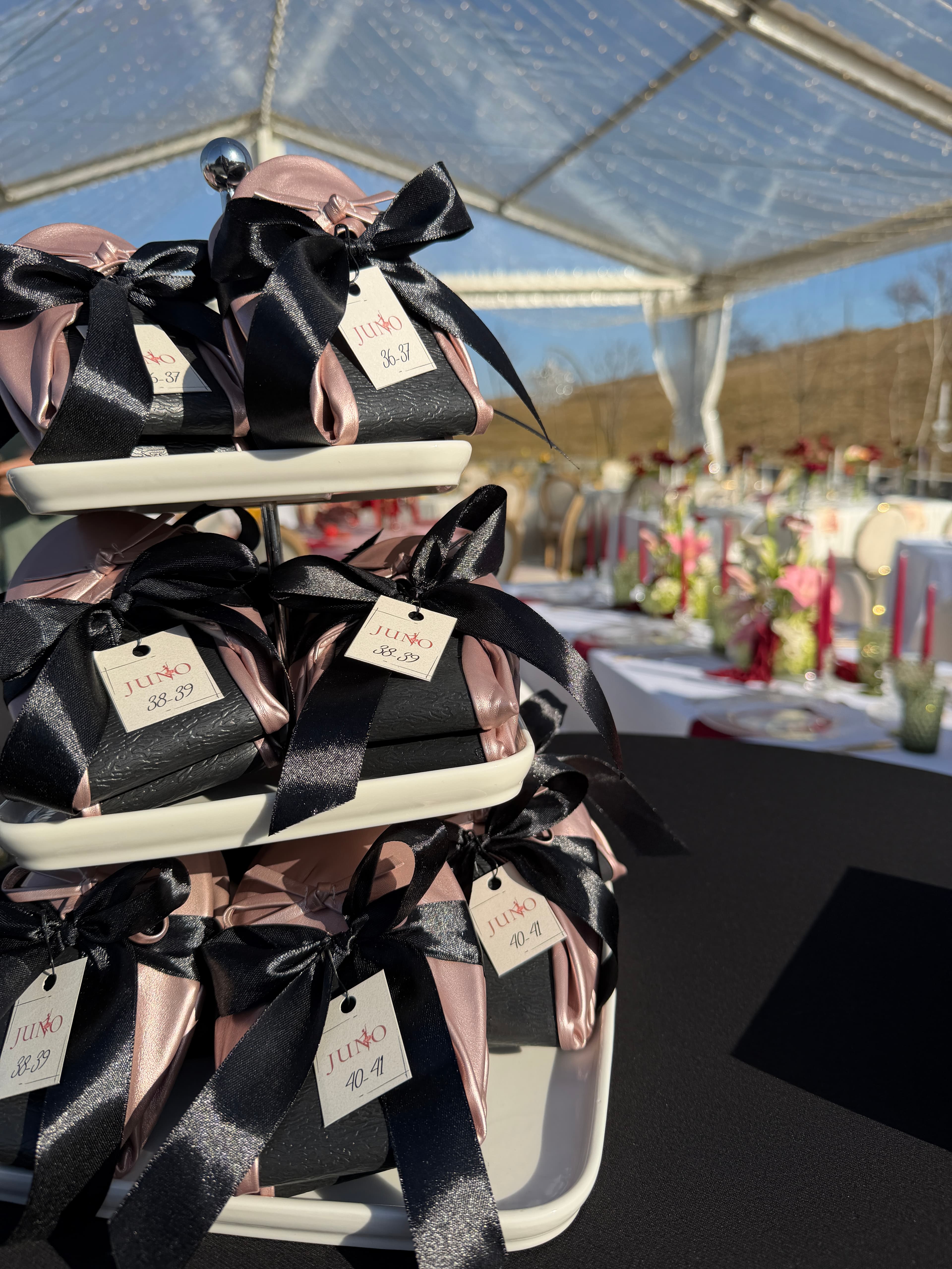 Juno Dance Shoes - Imagine 5