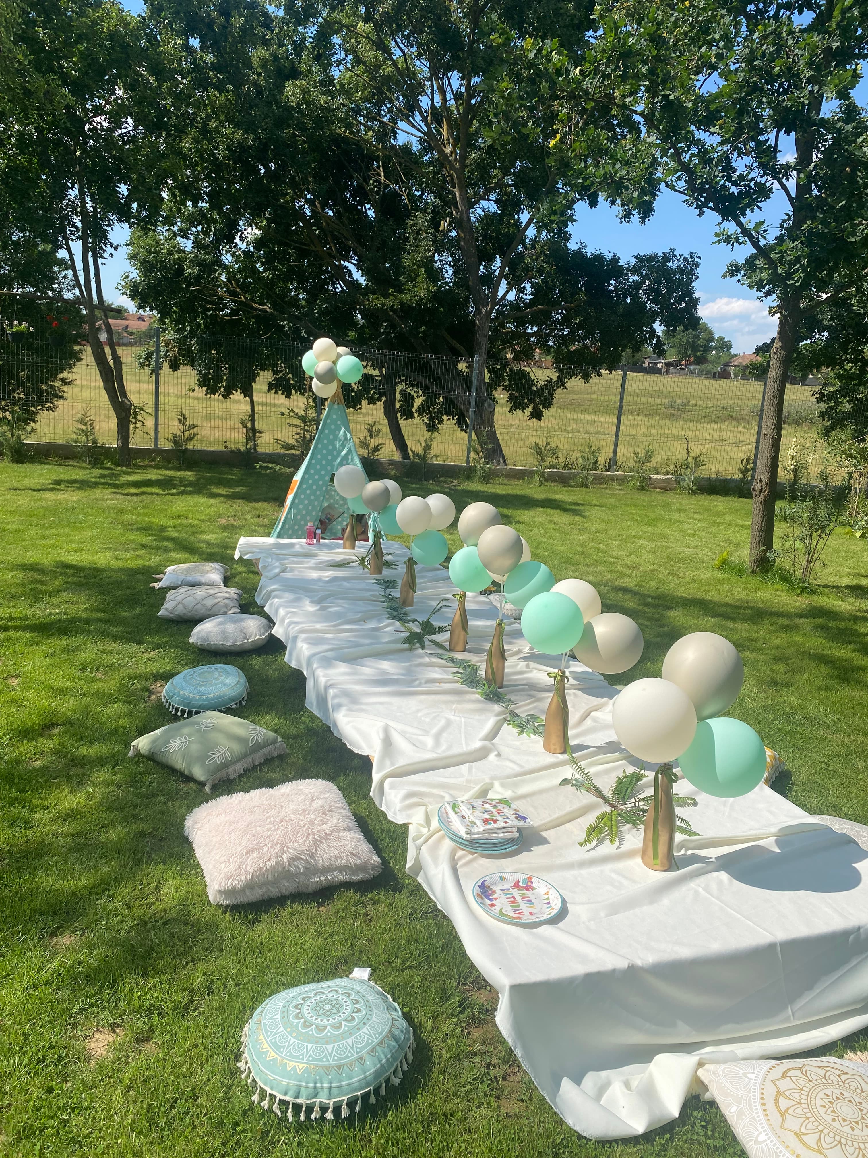 Pensiunea Apateu 167 - Imagine 2