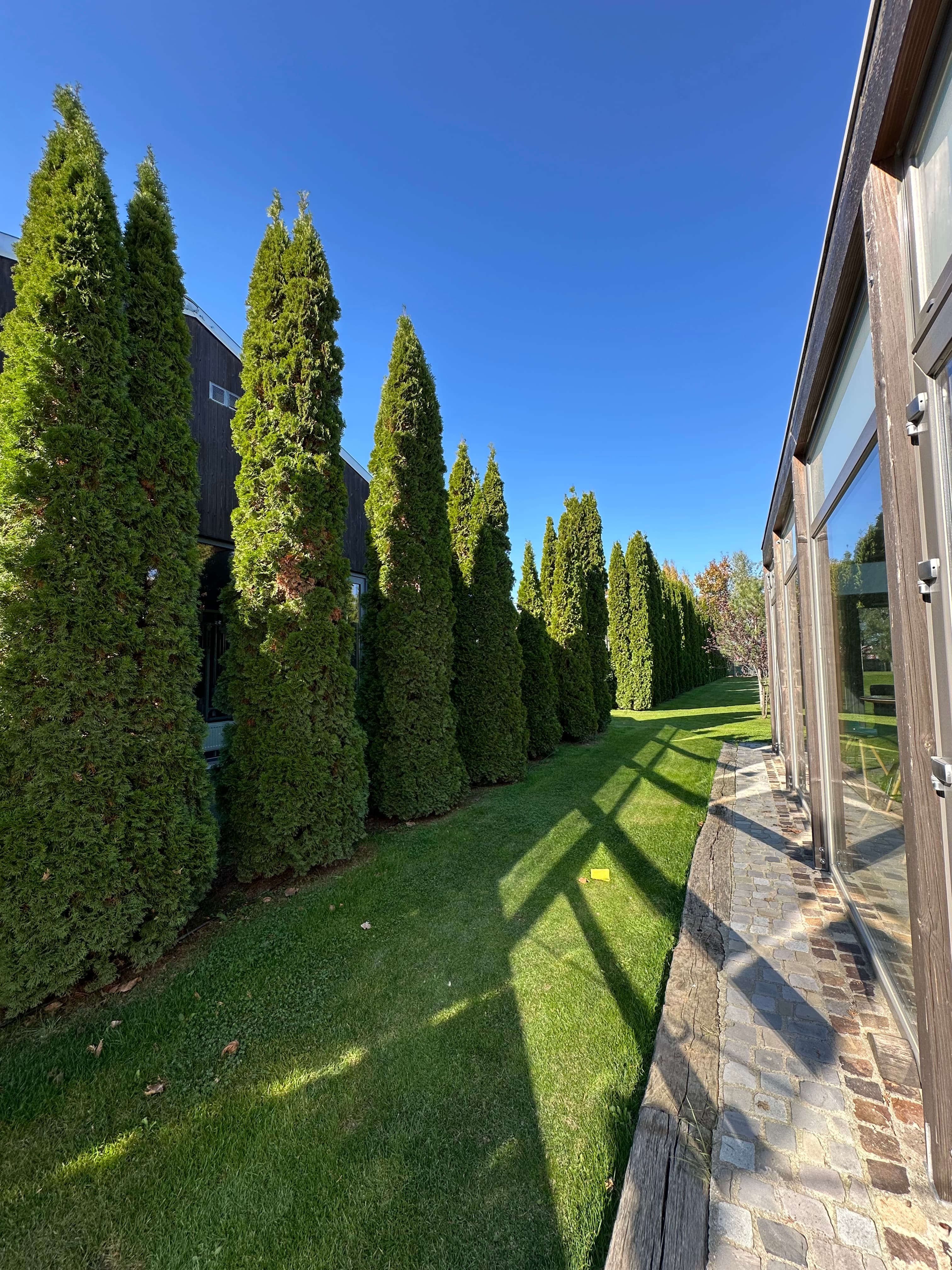 Campo Verde Events - Imagine 6