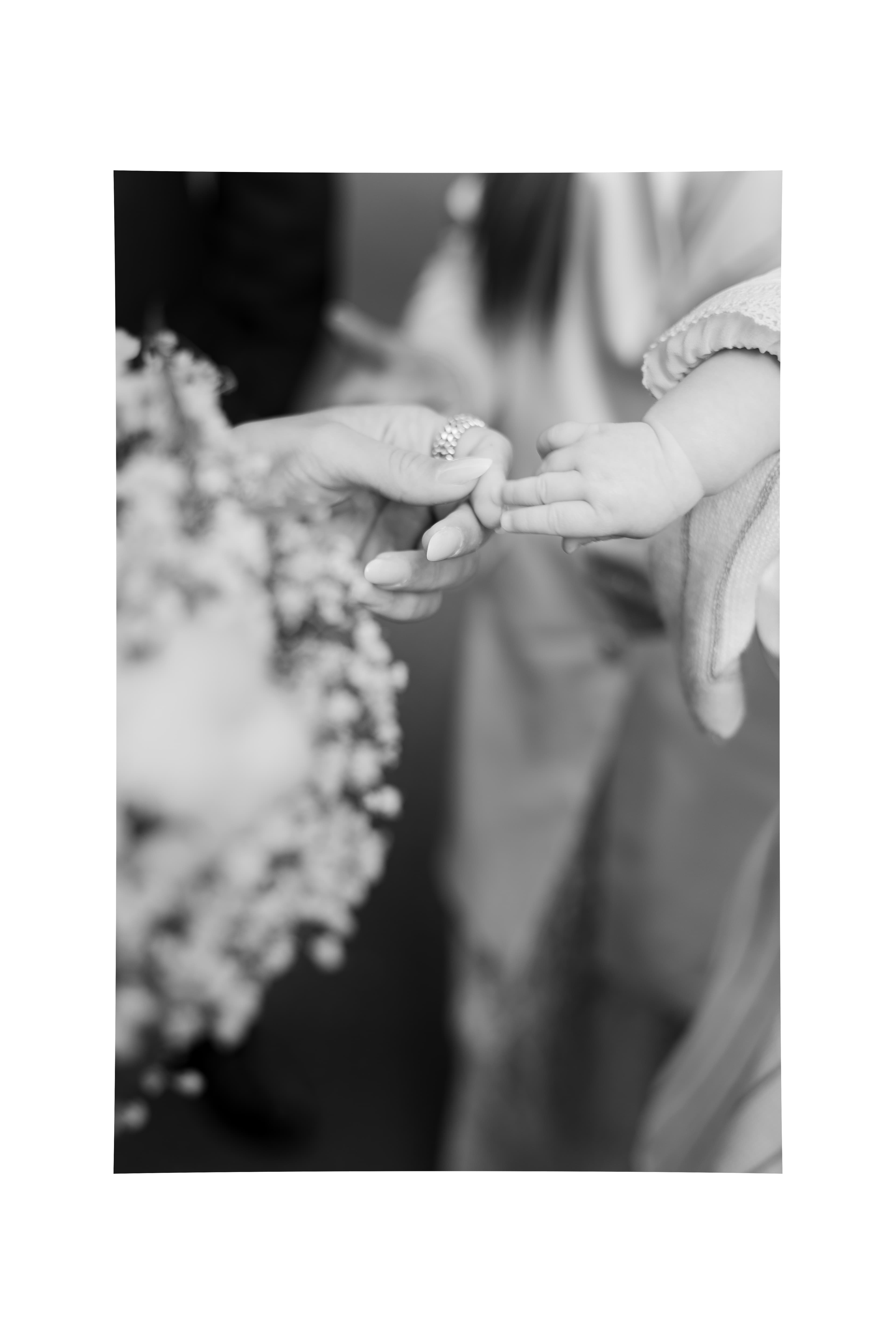 Horn Raoul Photography & Film - Imagine 2