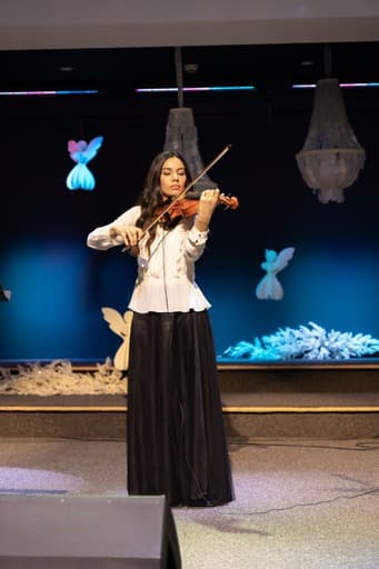 Diana Haiduc - servicii muzica live (vioara solo & band) - Imagine 2