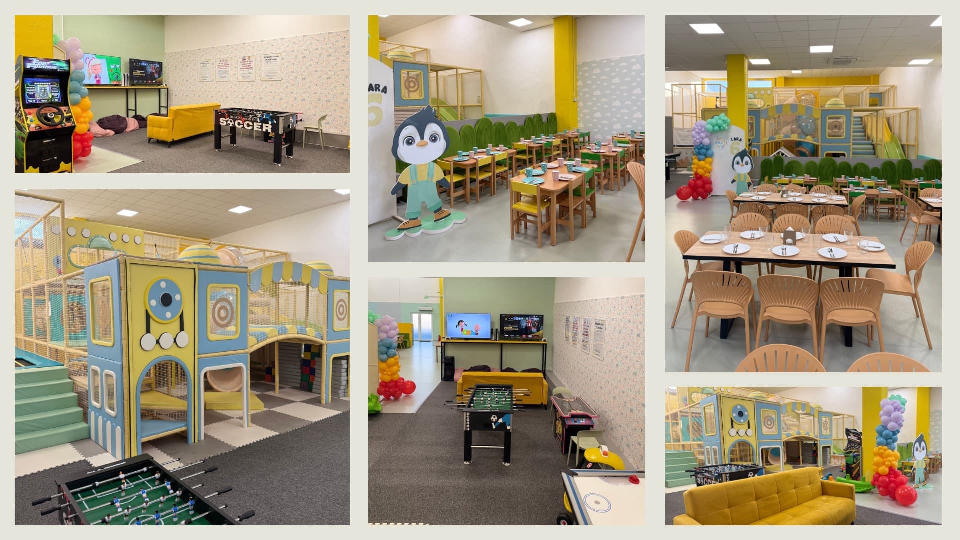 Pingwin Kids - Sala 1